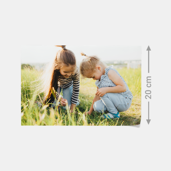 Zwei Mädchen knien im Gras und entdecken spielerisch die Natur – als hochwertiger Fotoabzug in brillanter Qualität.