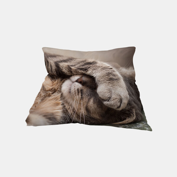Ein personalisiertes Fotokissen zeigt eine schlafende Katze, die sich mit der Pfote liebevoll das Gesicht verdeckt.